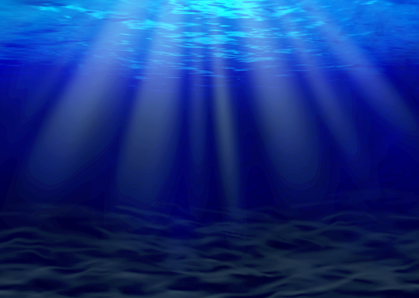 Unterwasser Meer Unterwasser Meer