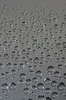 Raindrops on the window 1