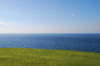 Natural flag 1