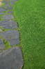 Flagstone walkway