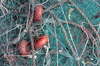 Net jam 2