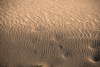 Dune 2