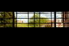 Urban window shape