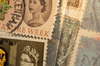Stamp's classifier album
