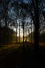 Wood sunset 2