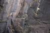 Rocks texture