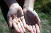 Hands & bugs