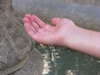 Hand in the font