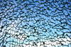 Broken glass