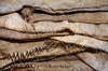 Sacks