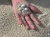 Hand, sand and shells