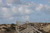 Bridge 2