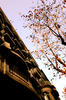 Barcelona Angles