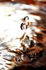 Falling Droplet