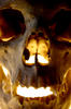 Skull 01