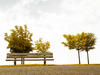 Start of autumn
