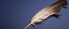 feather