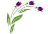 Abstract flowers