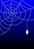 Spider web