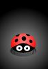 Ladybird