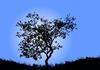 Tree silhouette