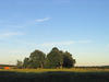 midsummer