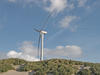 windmill