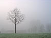 dutch winter