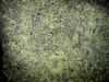 asphalt