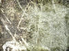 textures