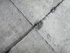 concrete