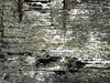 grunge