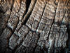 cracked wood