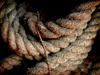 ropes