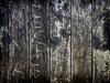 old texture