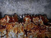 rust