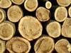 logs