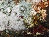 texture