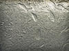 texture 12