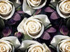 roses 2