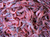 Shrimp