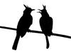 Silhouette of birds