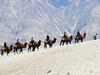 Camel Ride
