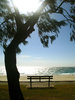 A bench