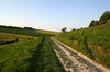 Chalk track 1