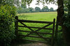 Field gate