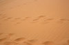 Footprints