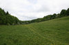 Country footpath