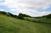 Country footpath