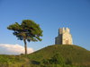 tree and church